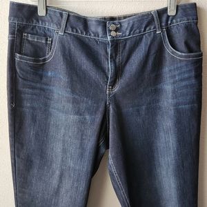LANE BRYANT Tighter Tummy Dark Wash Skinny Jeans